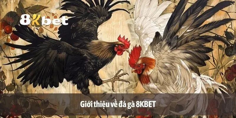 Giới thiệu về đá gà 8KBET